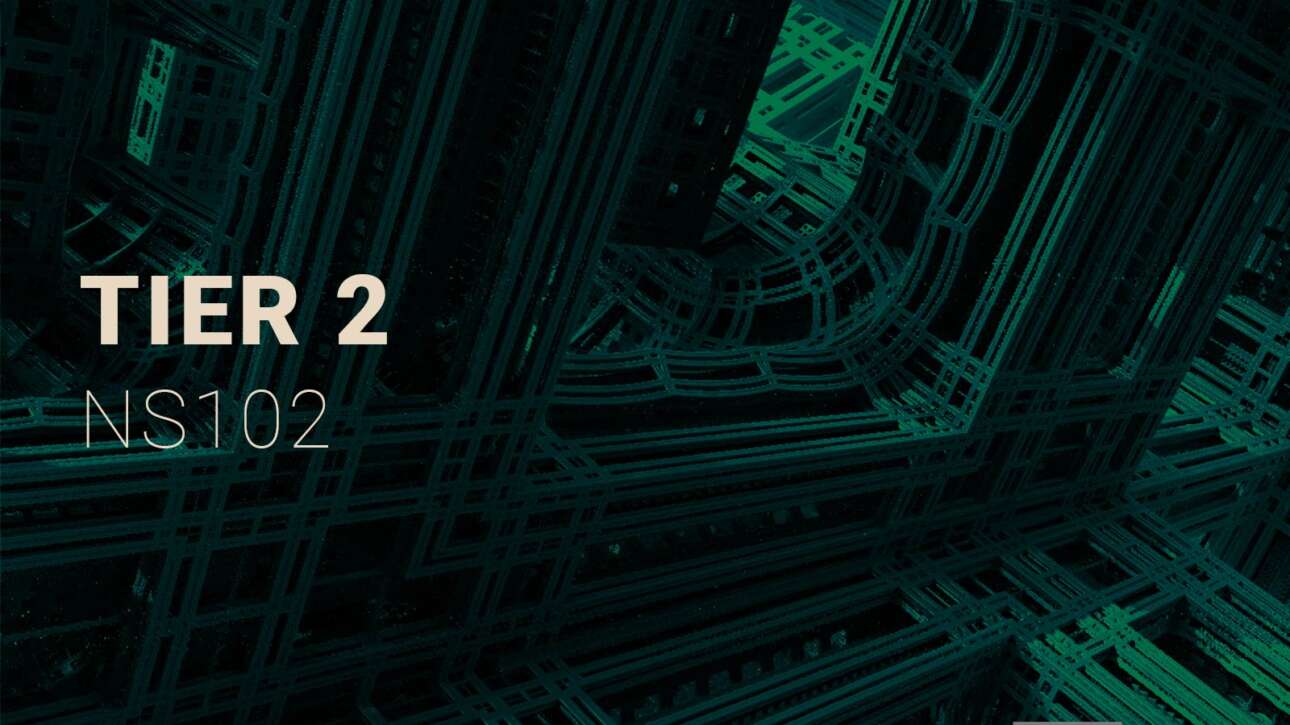 NS102 Tier 2