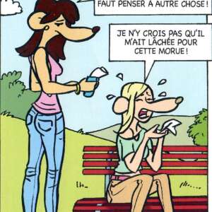 La BD de la Cybersécurité - coeur brisé