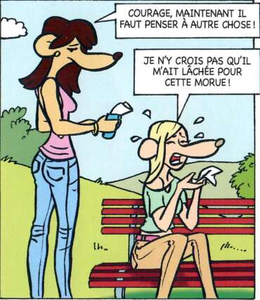 La BD de la Cybersécurité - coeur brisé