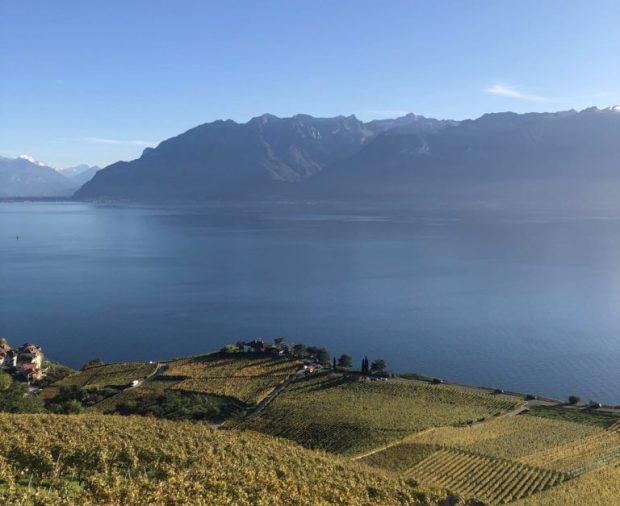 Lavaux-©Jacqueline-Reigner
